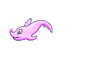bisous dauphin
